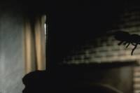 Кадр Амитивилль 3-D