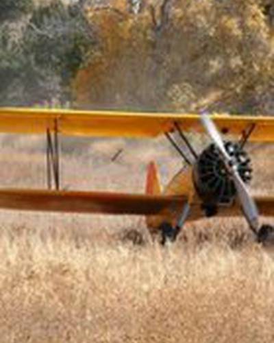 Брэд Джесси фото