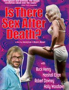 Is There Sex After Death?