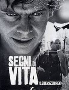 Знаки жизни