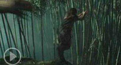 Превью тизера (30 секунд)