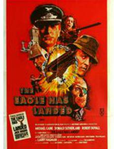 Орел приземлился