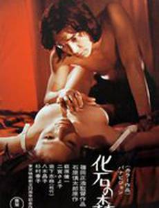 Окаменевший лес