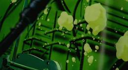 Кадр из фильма "Эксперименты Лэйн" - 1