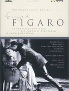 Женитьба Фигаро