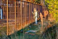 Кадр Киллер Джо