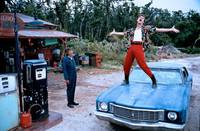 Кадр Эйс Вентура: Розыск домашних животных