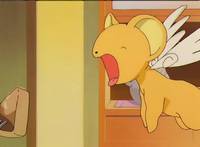 Кадр Сакура – собирательница карт