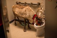 Кадр Новогодний корпоратив