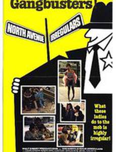 The North Avenue Irregulars