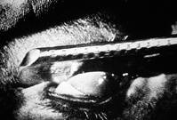 Кадр Андалузский пес