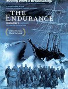 Выносливость: Легендарная антарктическая экспедиция Шеклтона