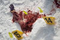 Кадр Ганнибал