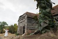 Кадр Чем дальше в лес... (В темном-темном лесу)