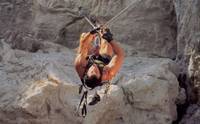Кадр Скалолаз