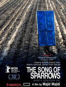 Песня соловьев