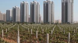 Кадр из фильма "Красное наваждение" - 1