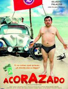 Броненосец