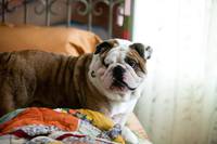 Кадр Главное - не бояться!