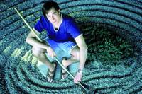 Кадр Пираты Силиконовой Долины