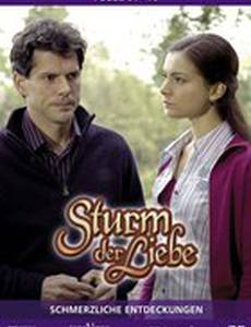 Шторм любви