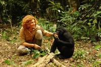 Кадр Шимпанзе: Возвращение в дикую природу