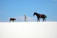 Кадр Астронавт Фармер
