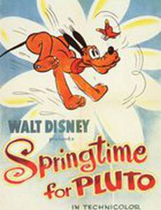 Весна для Плуто