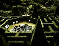 Кадр Игра навылет