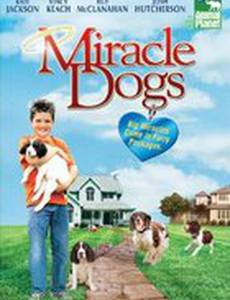 Miracle Dogs