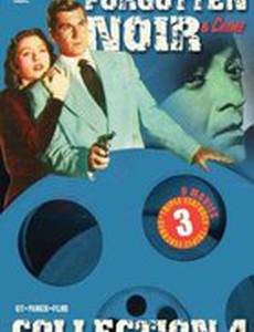 Treasure of Monte Cristo