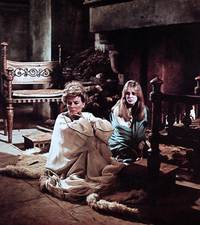 Кадр Лев зимой