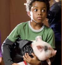 Кадр Папина дочка