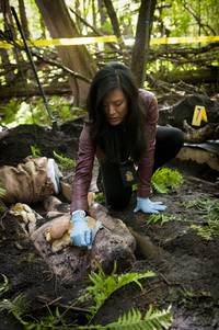 Кадр Ганнибал