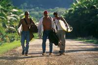 Кадр Волна страсти