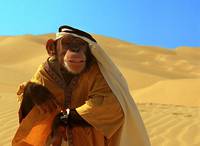 Кадр Лучший друг шпиона