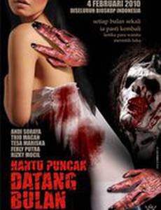 Менструирующий призрак Пункак