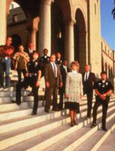 Полицейский рок