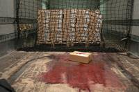 Кадр Добыча