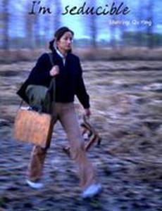 I'm Seducible