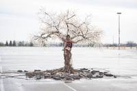 Кадр Ганнибал