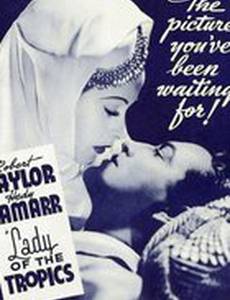 Леди из тропиков