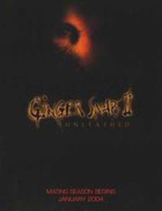 Сестра оборотня