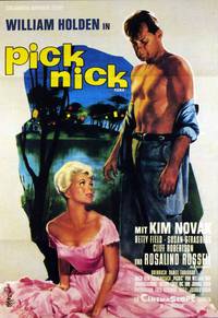 Постер Пикник