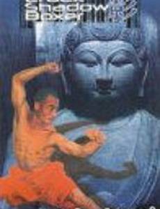 Бойцы, рассекающие тень