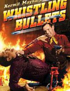 Whistling Bullets