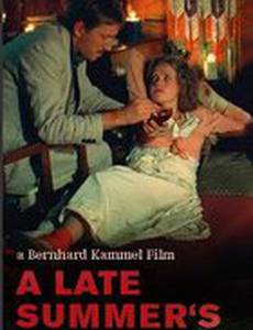 Ночь на закате лета