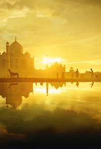 Постер Рука на миллион