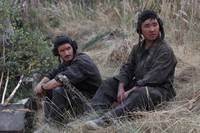 Кадр Белый тигр