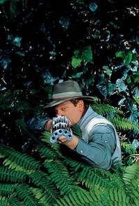 Кадр Вредитель